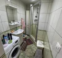 Bathroom with a shower, washing machine, and sink in a 4-room apartment.