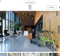 Offices with modern furniture, plants, and folding bicycles, floor with wooden decor.
