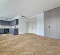 A kitchen in a studio apartment with a wood-patterned floor and a built-in wardrobe.