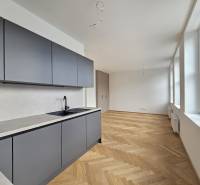 A kitchen in a studio apartment with a wood-patterned floor and large windows.