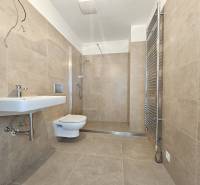 Bathroom with ceramic tiles, wall-hung toilet, and shower in a studio apartment.