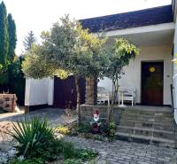 The exterior of a family house in Ivanka pri Dunaji with a terrace, a garden gnome, and a tree.