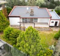 A family house on Trenčianska in Ivanka pri Dunaji is surrounded by a garden with coniferous trees.