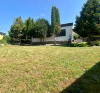 A family house in Ivanka pri Dunaji surrounded by a garden with coniferous trees.