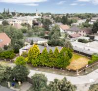 A family house on Trenčianska Street in Ivanka pri Dunaji surrounded by greenery and a garden.