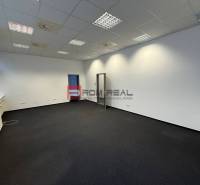 Offices with snow-white walls and dark carpet, with a suspended ceiling.