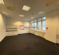 The office has white cabinets, carpets, ceiling lights, and large windows.