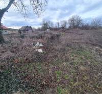 Plots - housing in Martovce with trees, a wooden cottage, and mostly untamed vegetation.