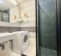 Bathroom of a 2-room apartment with a washing machine, shower, and mirror.