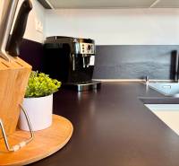 Kitchen in a 2-room apartment with knives, a coffee maker, and a decorative plant.
