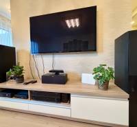 A television on the living room wall with decorative plants and electronics on the cabinet.