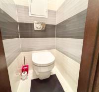 A toilet in a 2-room apartment with white and gray tiles on the walls.