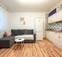 A studio apartment with a wood-patterned floor, a gray sofa, and a kitchen unit.