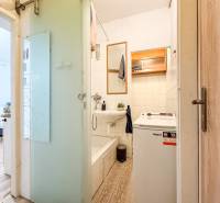 A bathroom in a studio apartment with a sink, bathtub, washing machine, and a floor with a wooden decor.