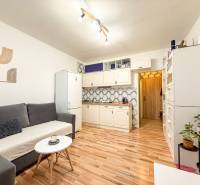 Studio apartment with a sofa, wooden floor decor, and a kitchenette, complemented by plants.