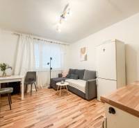 Studio apartment with wood-patterned flooring, gray sofa, and white refrigerator.