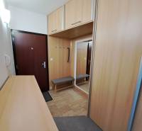 Entrance hallway in a 3-room apartment with coat hooks, a mirror, and wooden decor on the cabinets.