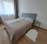 A bedroom in a 3-room apartment with a wood-patterned floor, a gray bed headboard, and a rug.