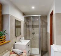 Bathroom with plants, shower, and sink in a family house.