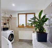 A bathroom in a family house with a washing machine, a window, and plants on a shelf.