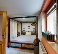 A bedroom in a family house with a large bed and a hanging plant by the window.