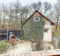 The garden of a family house in Unín with a gazebo covered in ivy and an outdoor grill.
