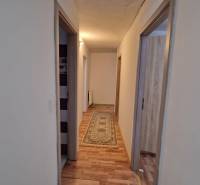 A hallway in a family house with carpet and wood-patterned flooring.