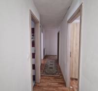 A hallway in a family house with a wooden decor floor and a carpet.