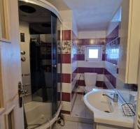 A bathroom in a family house with a shower, sink, and toilet, featuring colorful tiles.