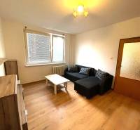 Living room in a studio apartment with a sofa and a wooden decor floor.