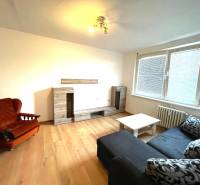 Living room with wood-patterned flooring in a studio apartment with a sofa, an armchair, and a cabinet.