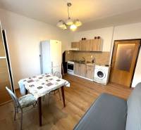 Interior of a 1-room apartment with a kitchenette, living room, and wooden decor flooring.