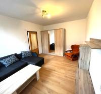 Living room in a studio apartment with a sofa and wood-patterned flooring.