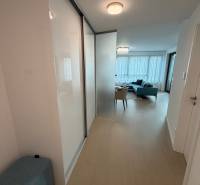 The hallway in the 2-room apartment with a wooden decor floor leads to the living room.
