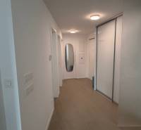 A hallway with white walls, a wooden decor floor, and a built-in wardrobe in a 2-room apartment.