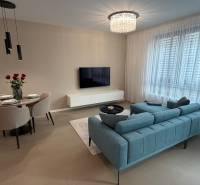 Living room in a two-room apartment with a wooden decor floor and comfortable seating.