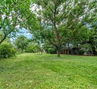 Greenery and trees on residential plots on Okružná Street in Bernolákovo.