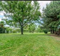 Greenery and trees on a residential plot in Bernolákovo on Okružná.