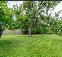 Greenery and fruit trees on residential plots on Okružná in Bernolákovo.