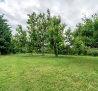Garden with fruit trees on plots - living on Okružná in Bernolákovo.