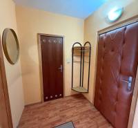A hallway in a 3-room apartment with a wooden decor floor and decorated doors.