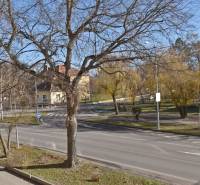 Greenery with bare trees along Hlavná Street in Galanta, Studio apartment near the roundabout.