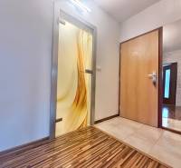 Entrance hall in a 4-room apartment with wood-patterned flooring and decorative glass doors.