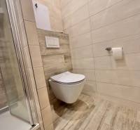 A bathroom in a 4-room apartment with a wooden decor floor and a shower corner.