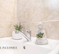 A sink with a Buddha statue and a plant in the bathroom, ceramic wall decor.