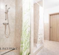 A bathroom with ceramic tiles, a shower enclosure, and wooden doors.