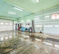 A room in a building with wet tiles, a sink, and a hose on the wall.
