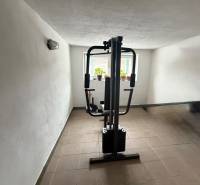 A small gym with a weight machine in a family house, lit by natural daylight.