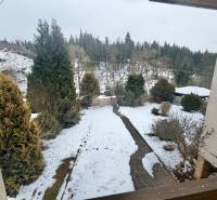 A snowy garden of a family house in Čadca on Čadečka street with coniferous trees and a lawn.