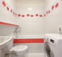 Bathroom with a bathtub, sink, and washing machine in a studio apartment.
